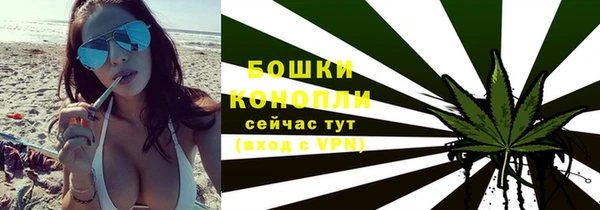 прущие грибы Бронницы