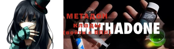 прущие грибы Бронницы