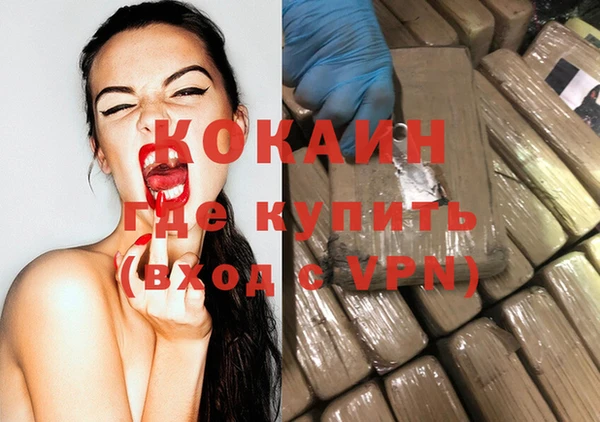 прущие грибы Бронницы