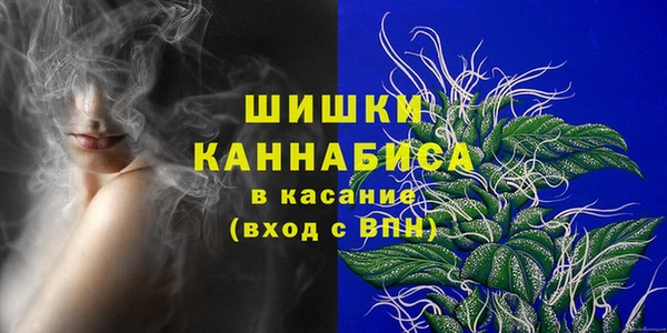 прущие грибы Бронницы