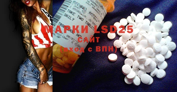 прущие грибы Бронницы