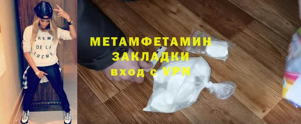 прущие грибы Бронницы
