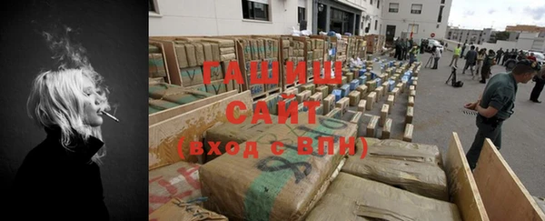 прущие грибы Бронницы