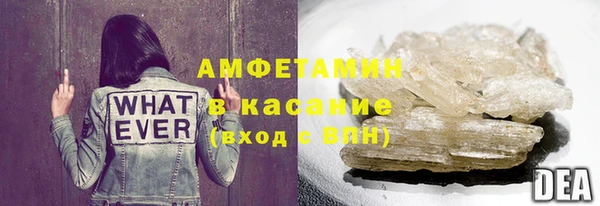 прущие грибы Бронницы