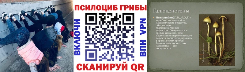Галлюциногенные грибы мицелий Белгород